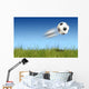 Flying ball Wall Mural