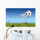 Flying ball Wall Mural