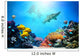 Underwater Scene Coral Reef Fish Groups Sharks Wall Mural