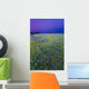 Texas Bluebonnets at Dusk Wall Mural