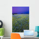 Texas Bluebonnets at Dusk Wall Mural