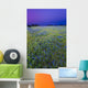 Texas Bluebonnets at Dusk Wall Mural