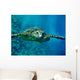 Turtle Underwater Wall Mural