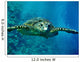 Turtle Underwater Wall Mural