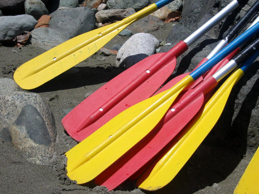 Rafting Paddles on the Hatuyaku River in Ecuador Wall Mural