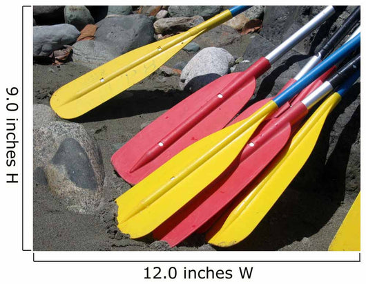 Rafting Paddles on the Hatuyaku River in Ecuador Wall Mural