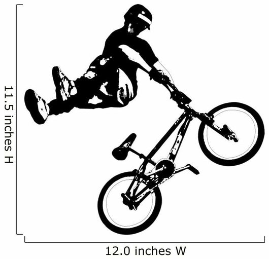 Freestyle Bmx Bike