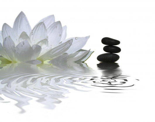 l'instant zen Wall Decal