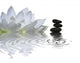 l'instant zen Wall Decal