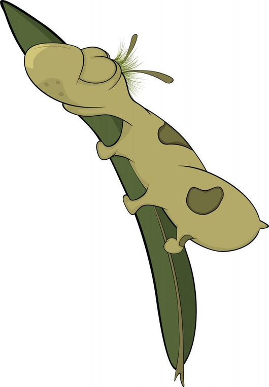 Sleeping Worm Wall Decal