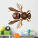 Bee Species Anthidium Sticticum Wall Mural