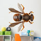 Bee Species Anthidium Sticticum Wall Mural