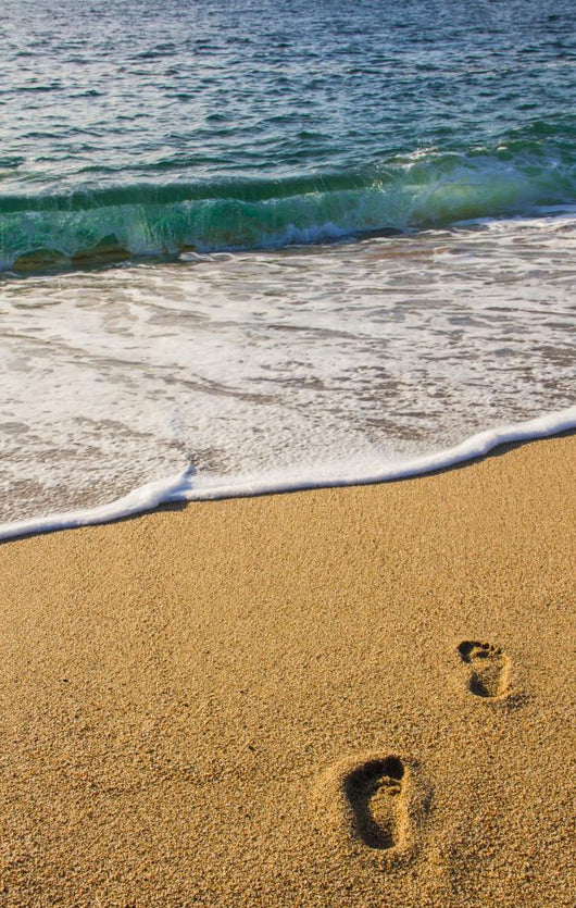 Barefoot Sand Rolls and Wall Mural