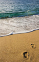 Barefoot Sand Rolls and Wall Mural