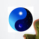 Day and Night Yin