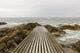 Road to Sea
