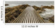 Road to Sea