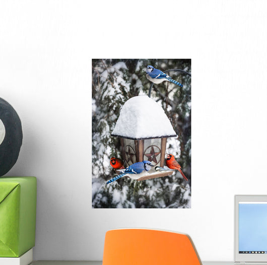 Birds Bird Feeder Winter