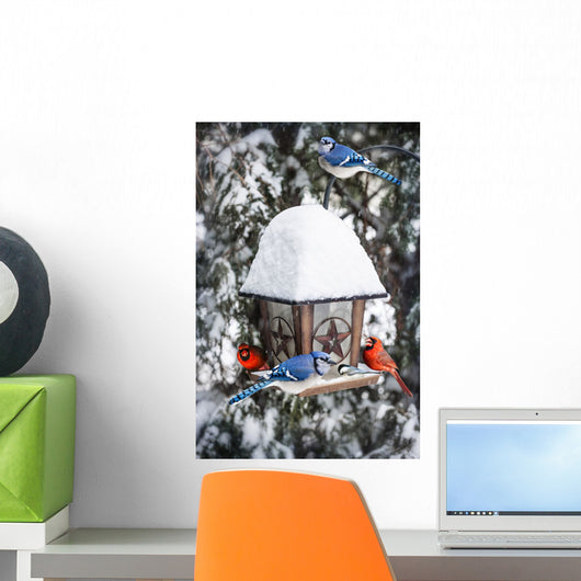 Birds Bird Feeder Winter
