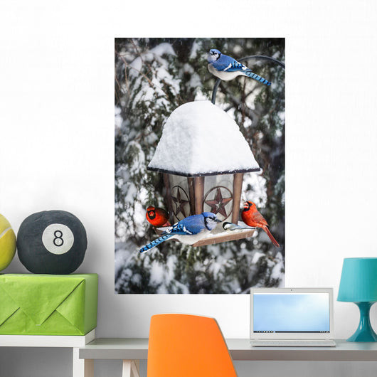 Birds Bird Feeder Winter