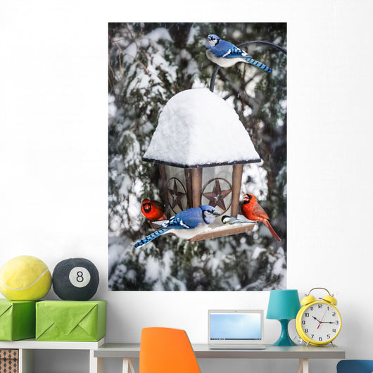 Birds Bird Feeder Winter