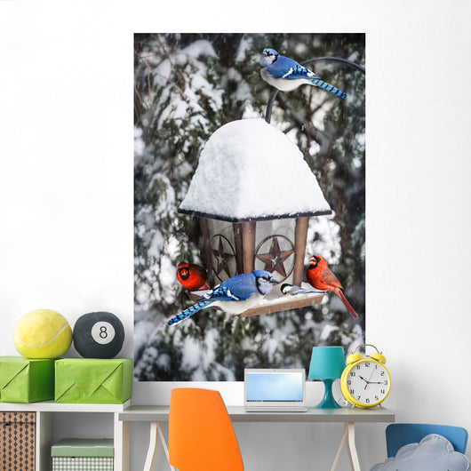 Birds Bird Feeder Winter