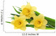 Beautiful spring three flowers : yellow narcissus (Daffodil). Wall Decal