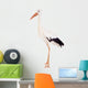 White Stork - Ciconia ciconia. Isolated on white. Wall Decal