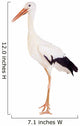 White Stork - Ciconia ciconia. Isolated on white. Wall Decal