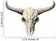 Buffalo Skull Wall Decal
