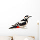 Great Spotted Woodpecker Wall Decal
