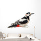 Great Spotted Woodpecker Wall Decal
