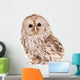 Ural Owl (Strix uralensis), isolated on white Wall Decal