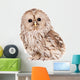 Ural Owl (Strix uralensis), isolated on white Wall Decal