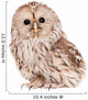 Ural Owl (Strix uralensis), isolated on white Wall Decal