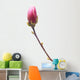 Magnolia Wall Decal