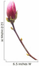 Magnolia Wall Decal