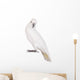 Sulphur-crested Cockatoo Wall Decal