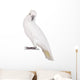 Sulphur-crested Cockatoo Wall Decal