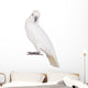 Sulphur-crested Cockatoo Wall Decal