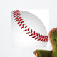 Baseball Closeup Wall Mural