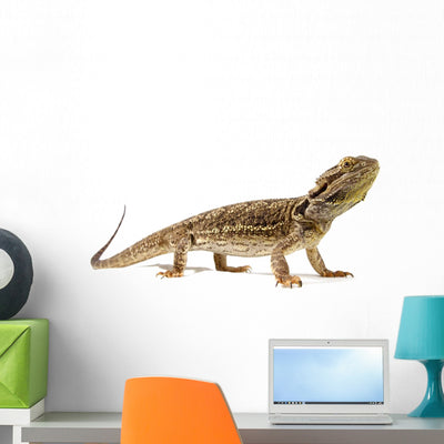 Bearded Dragon Wall Decal shown on a wall
