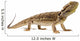Bearded Dragon Wall Decal