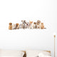 Group of Puppies Ñ„Ñ‚Ð² kitten of different breeds, cat and dog Wall Decal