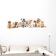 Group of Puppies Ñ„Ñ‚Ð² kitten of different breeds, cat and dog Wall Decal