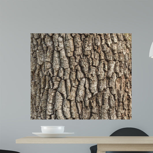 Detail Oak Tree Bark