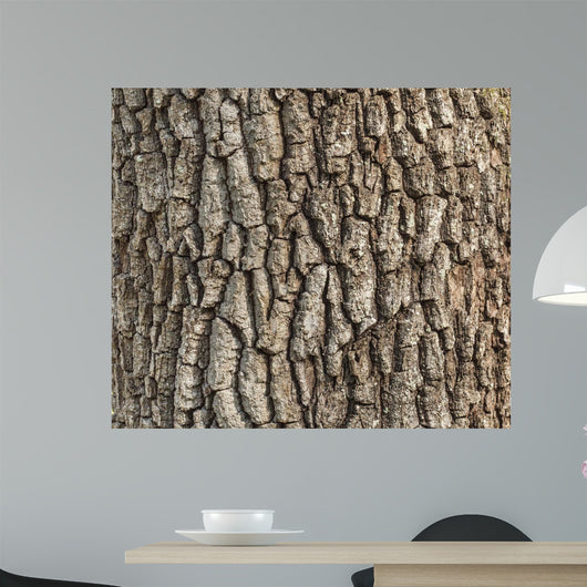 Detail Oak Tree Bark – Wallmonkeys
