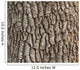 Detail Oak Tree Bark