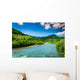 Wild Mountain River Clear