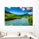 Wild Mountain River Clear